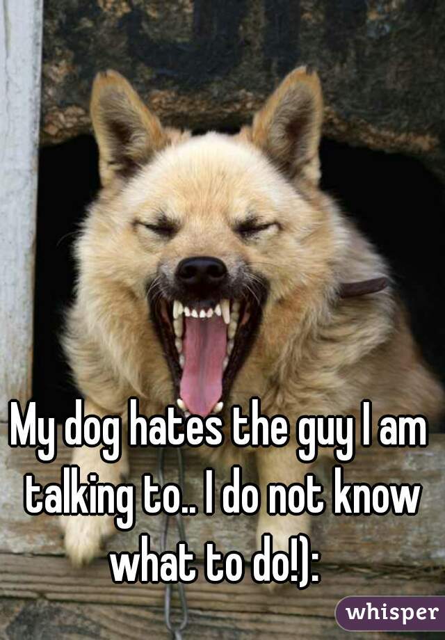 My dog hates the guy I am talking to.. I do not know what to do!):  