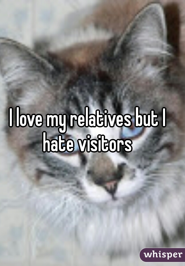 I love my relatives but I hate visitors 