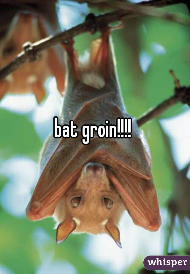 bat groin!!!! 
