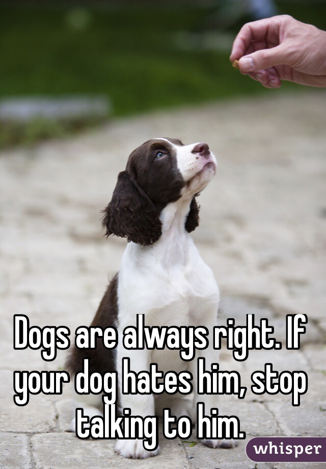 Dogs are always right. If your dog hates him, stop talking to him.
