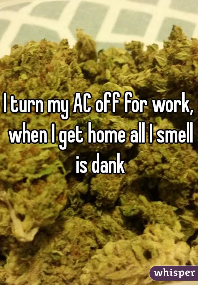 I turn my AC off for work, when I get home all I smell is dank
