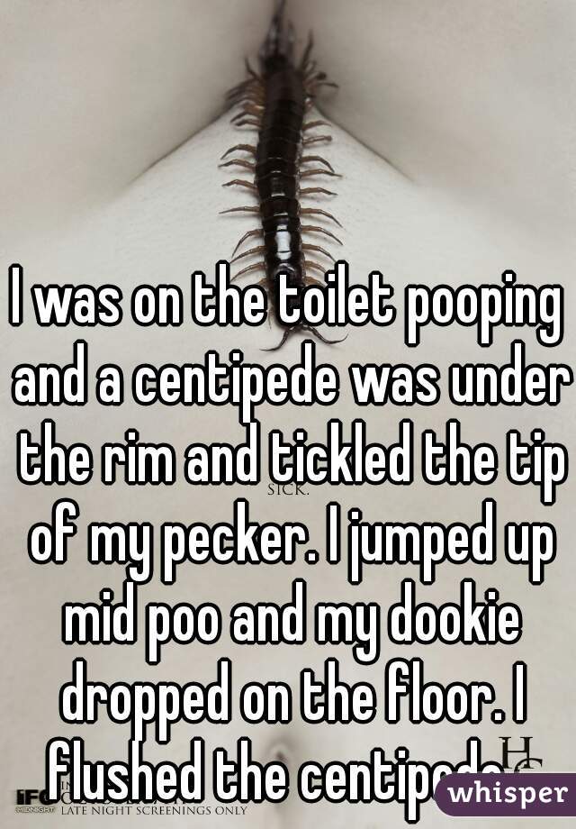 I was on the toilet pooping and a centipede was under the rim and tickled the tip of my pecker. I jumped up mid poo and my dookie dropped on the floor. I flushed the centipede.  