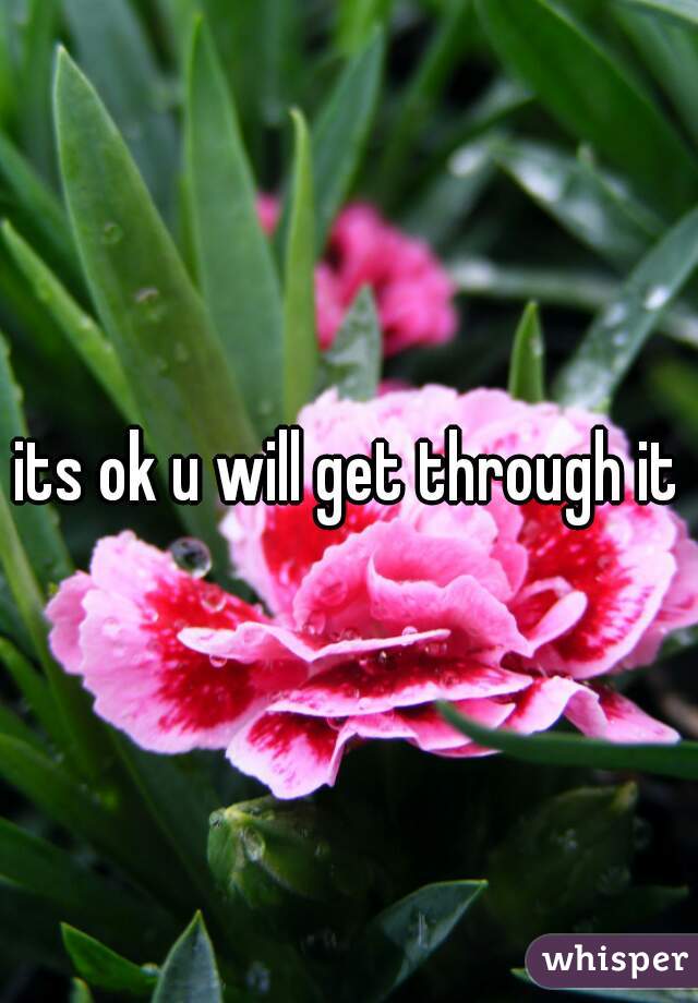 its ok u will get through it