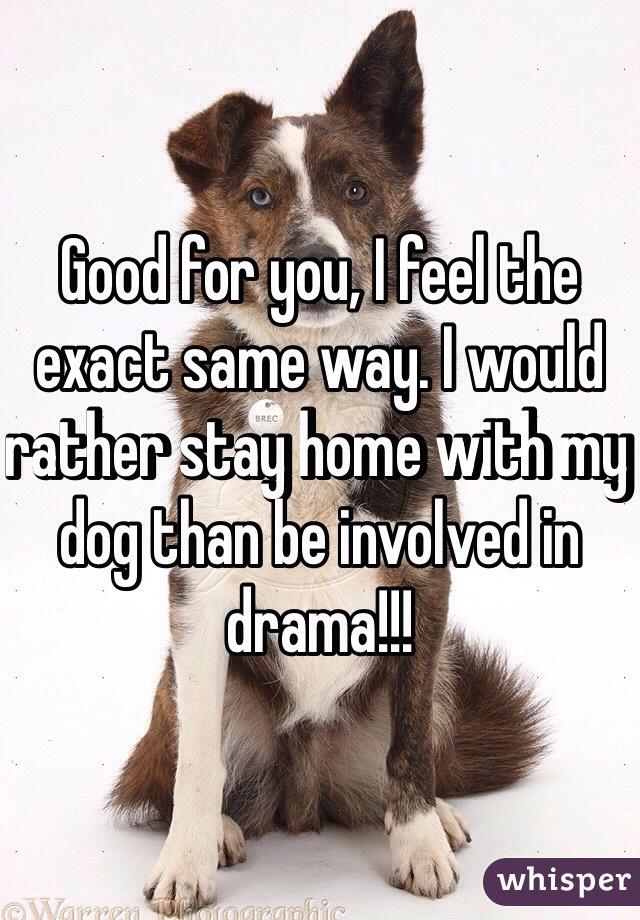 Good for you, I feel the exact same way. I would rather stay home with my dog than be involved in drama!!!