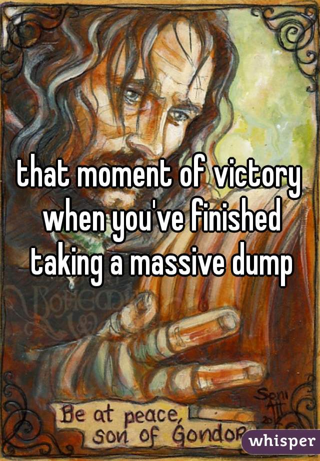 that moment of victory when you've finished taking a massive dump