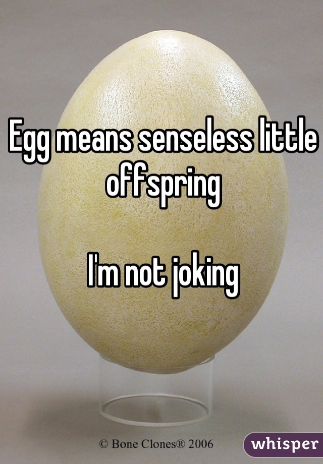 Egg means senseless little offspring

I'm not joking