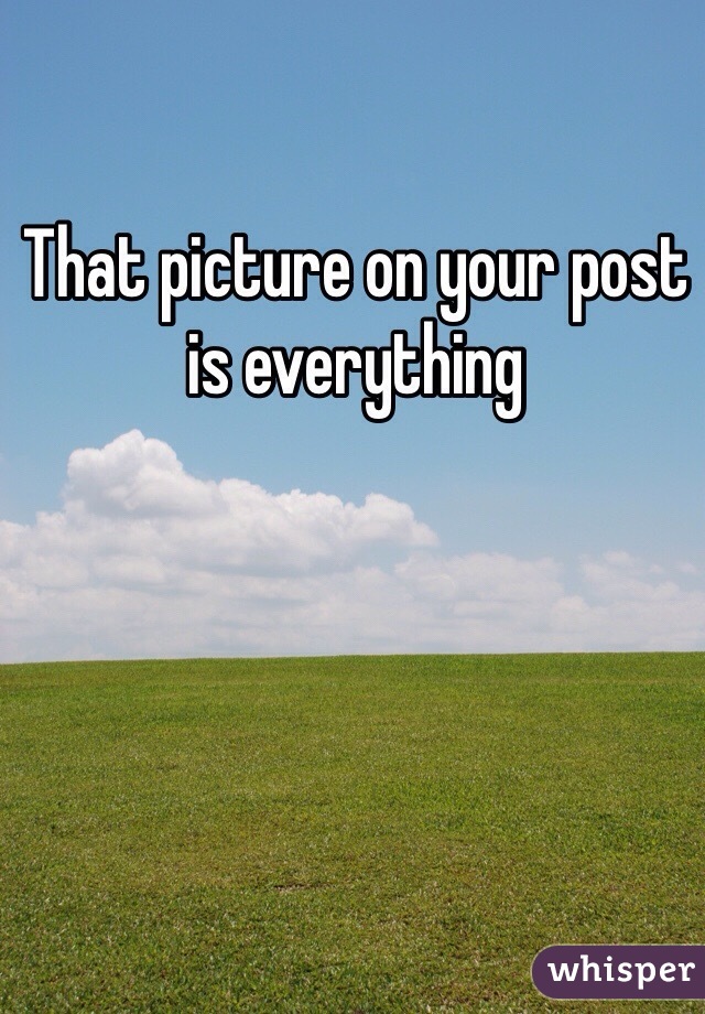 That picture on your post is everything 