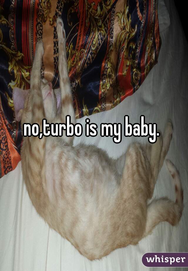 no,turbo is my baby. 