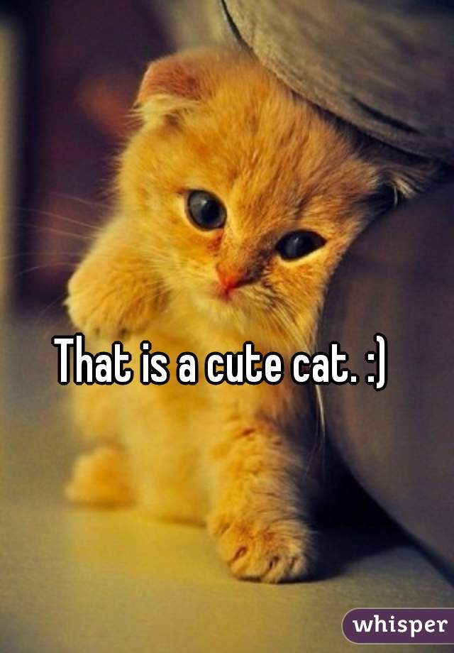 That is a cute cat. :) 