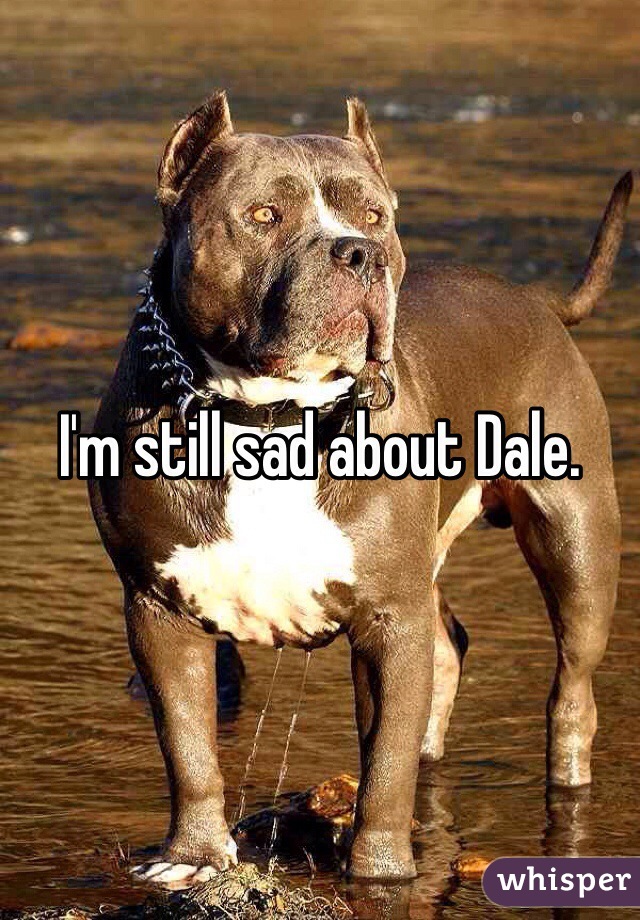 I'm still sad about Dale. 