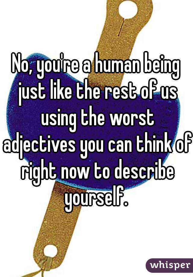 No, you're a human being just like the rest of us using the worst adjectives you can think of right now to describe yourself. 