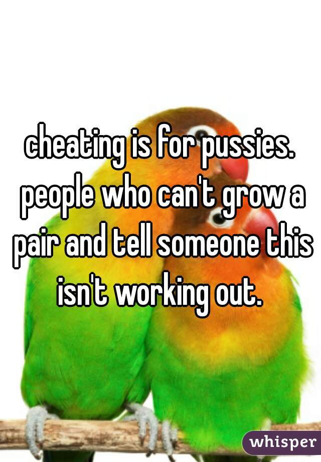 cheating is for pussies. people who can't grow a pair and tell someone this isn't working out. 