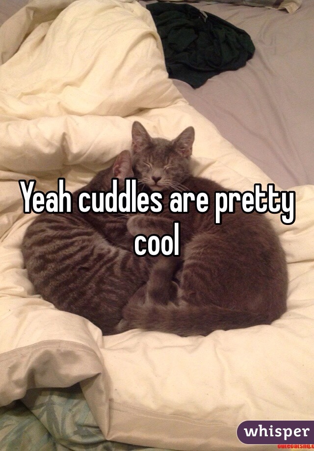 Yeah cuddles are pretty cool 