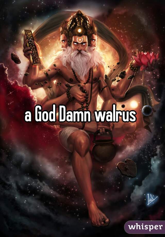 a God Damn walrus 