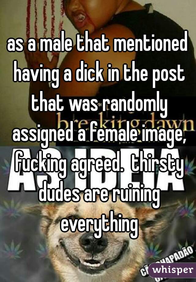 as a male that mentioned having a dick in the post that was randomly assigned a female image, fucking agreed.  thirsty dudes are ruining everything