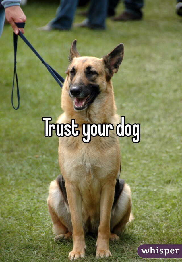 Trust your dog