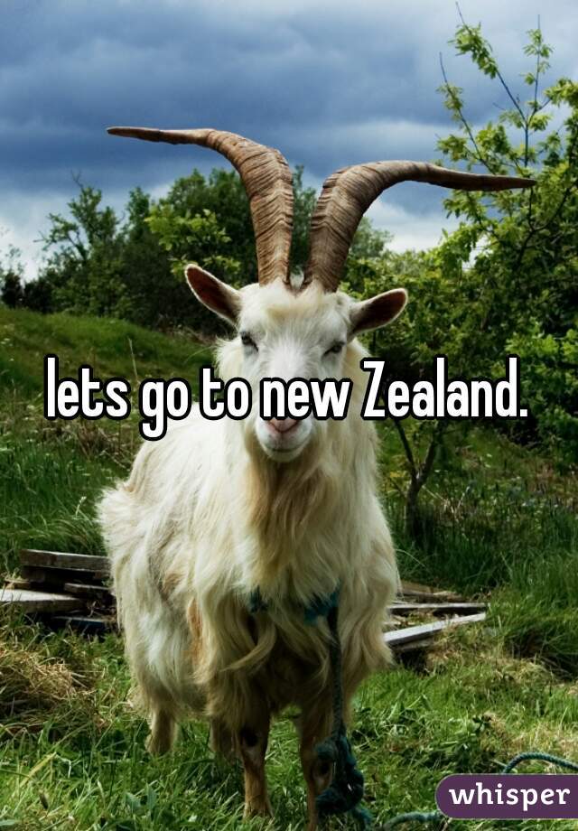 lets go to new Zealand.