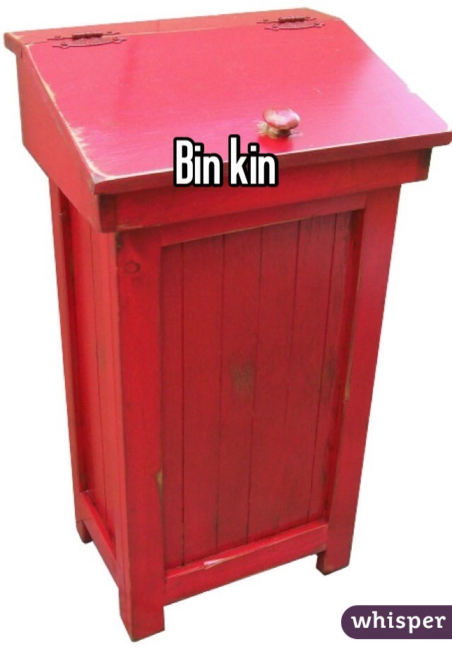 Bin kin