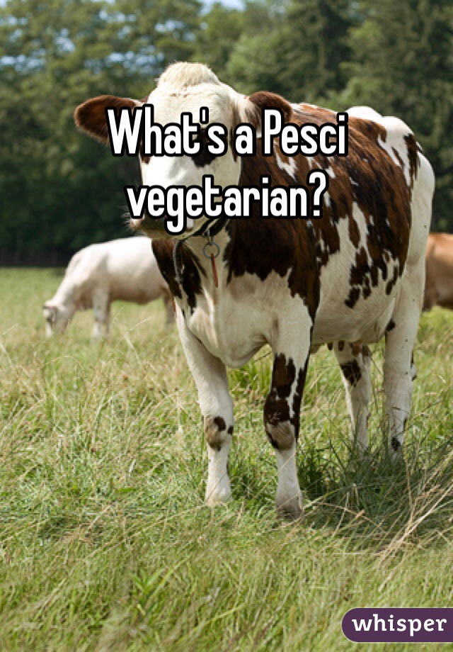 What's a Pesci vegetarian?