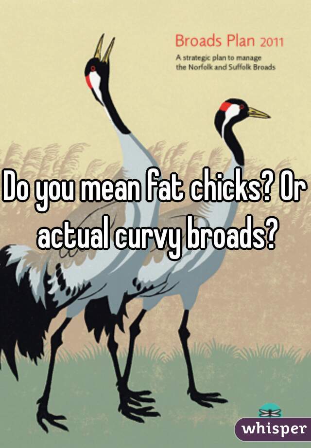 Do you mean fat chicks? Or actual curvy broads?