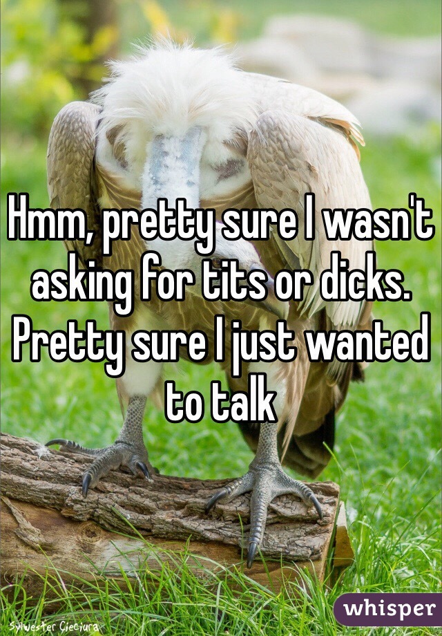 Hmm, pretty sure I wasn't asking for tits or dicks. Pretty sure I just wanted to talk 