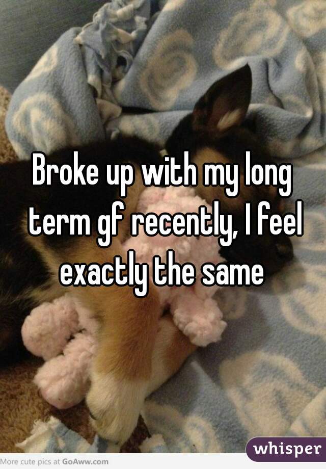 Broke up with my long term gf recently, I feel exactly the same 