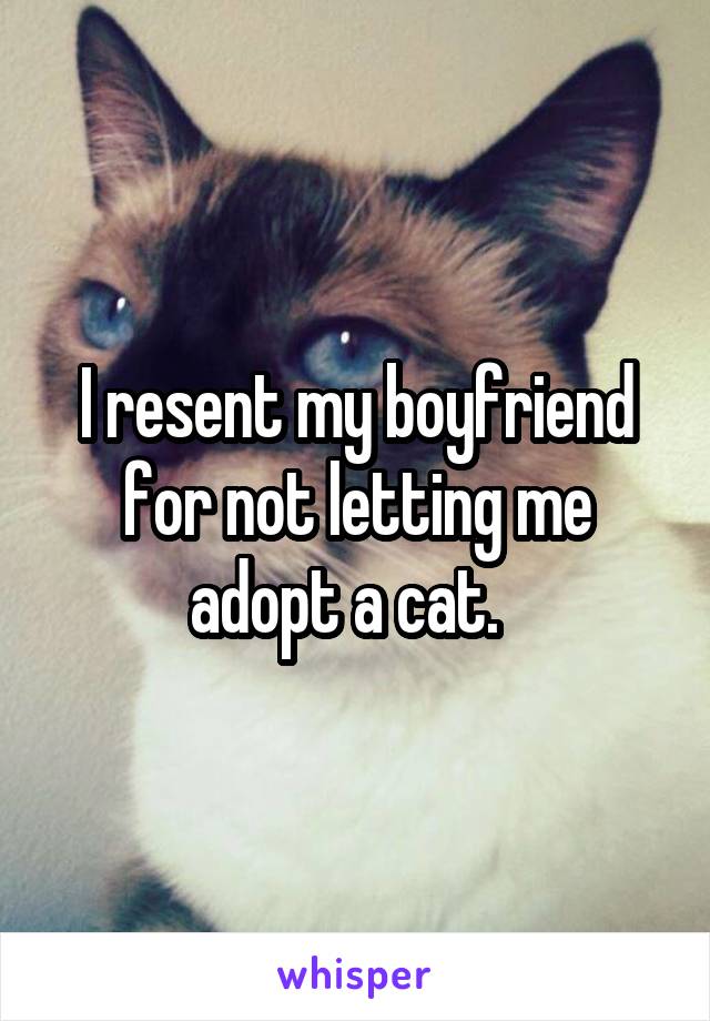 I resent my boyfriend for not letting me adopt a cat.  