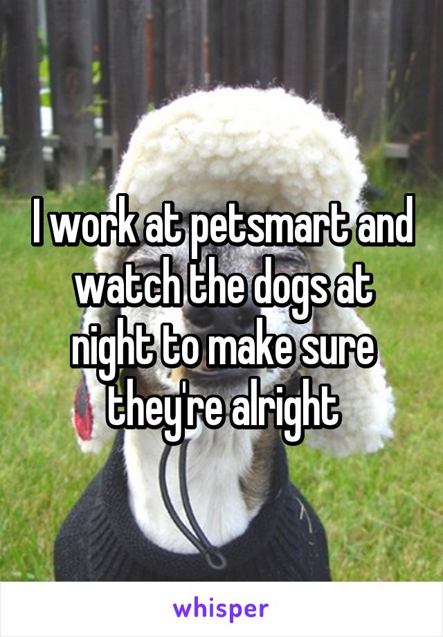 I work at petsmart and watch the dogs at night to make sure they're alright