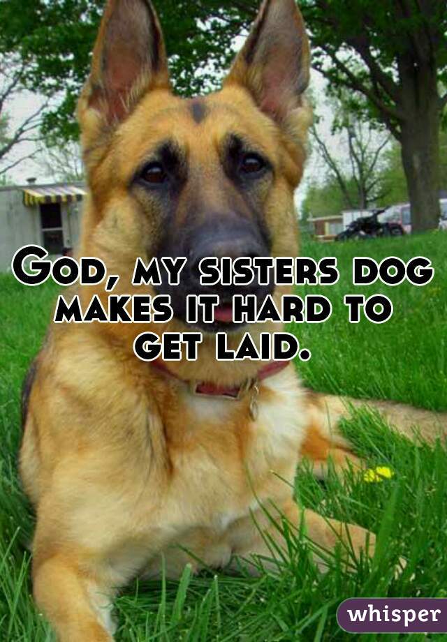 God, my sisters dog
makes it hard to
get laid.