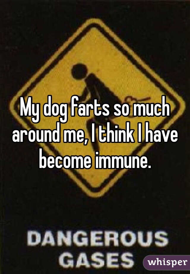 My dog farts so much around me, I think I have become immune.
