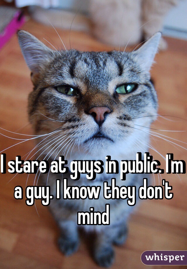 I stare at guys in public. I'm a guy. I know they don't mind