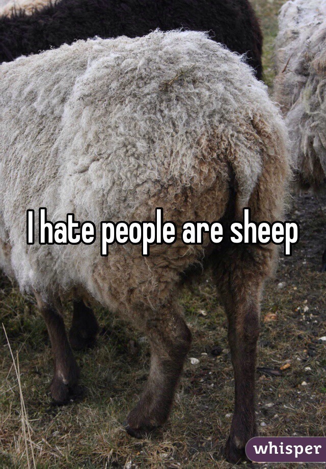 I hate people are sheep