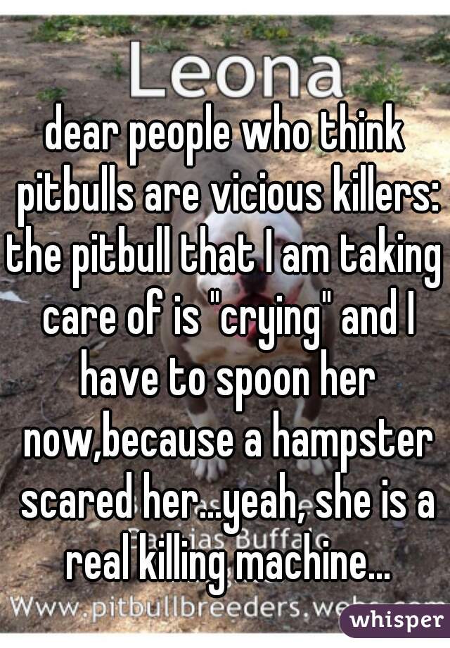 dear people who think pitbulls are vicious killers:

the pitbull that I am taking care of is "crying" and I have to spoon her now,because a hampster scared her...yeah, she is a real killing machine...