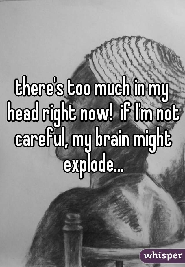 there's too much in my head right now!  if I'm not careful, my brain might explode...