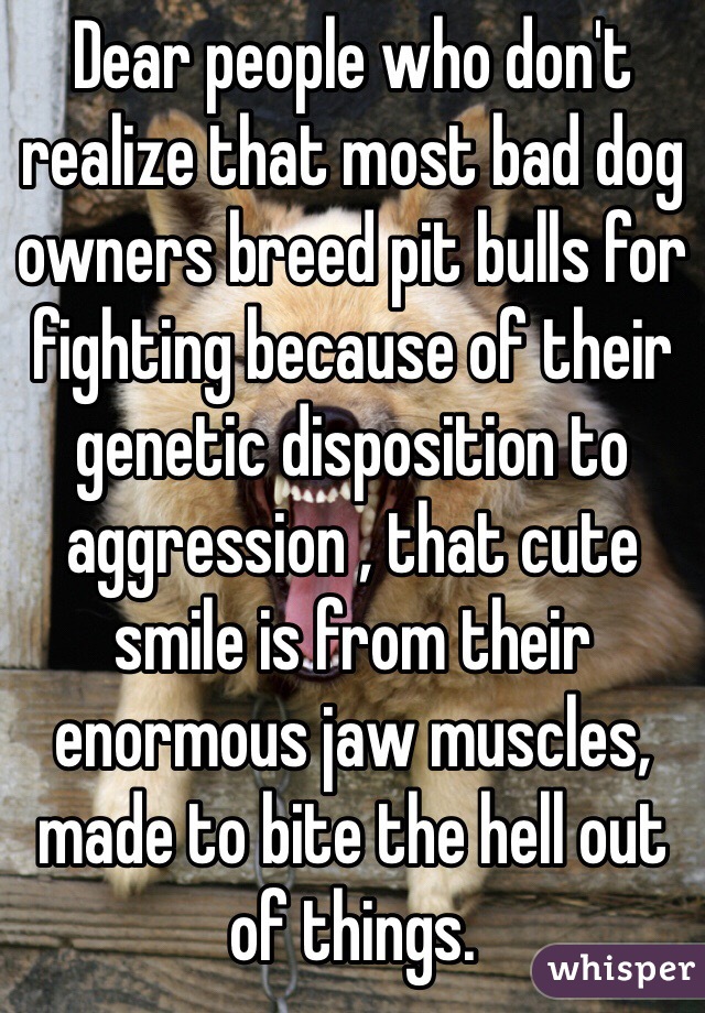 Dear people who don't realize that most bad dog owners breed pit bulls for fighting because of their genetic disposition to aggression , that cute smile is from their enormous jaw muscles, made to bite the hell out of things.