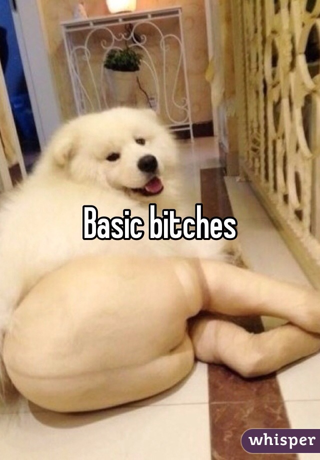 Basic bitches
