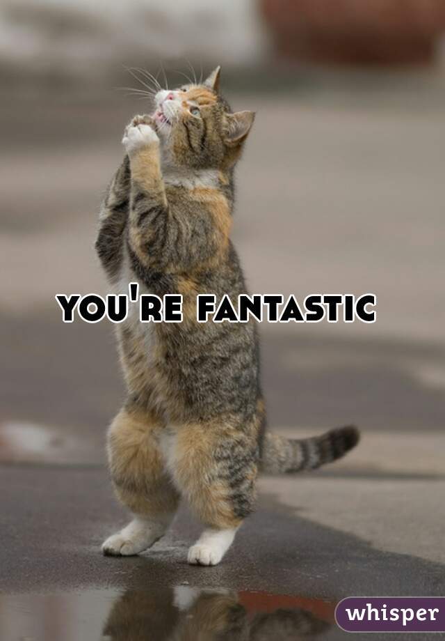 you're fantastic 