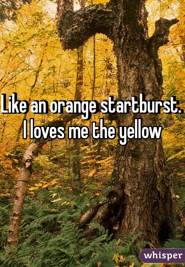 Like an orange startburst. I loves me the yellow