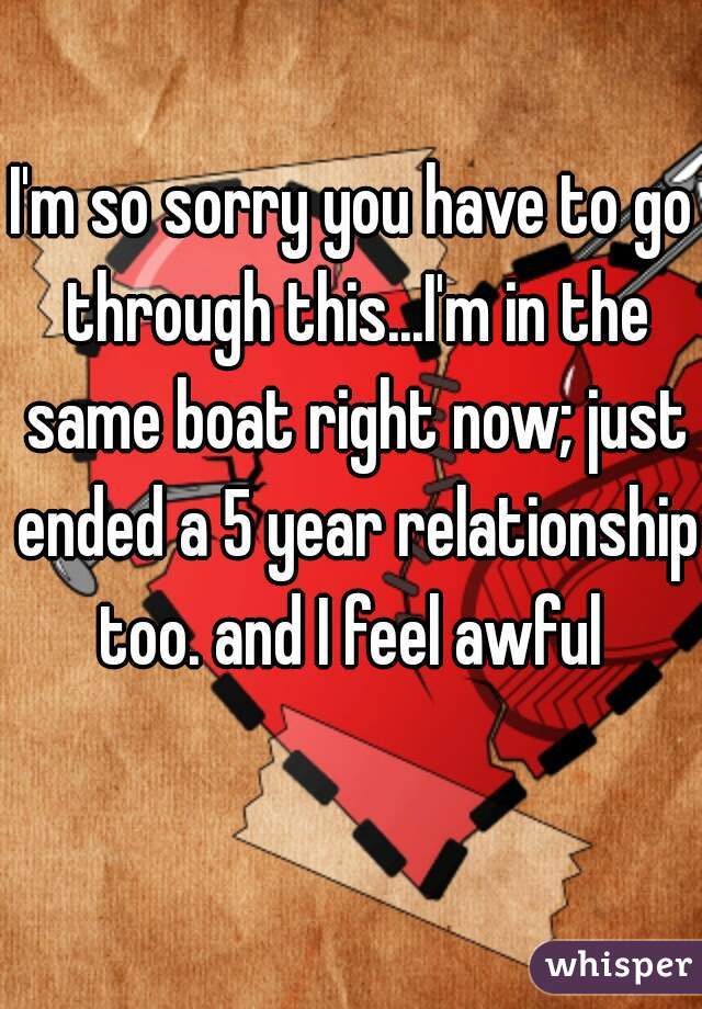 I'm so sorry you have to go through this...I'm in the same boat right now; just ended a 5 year relationship too. and I feel awful 