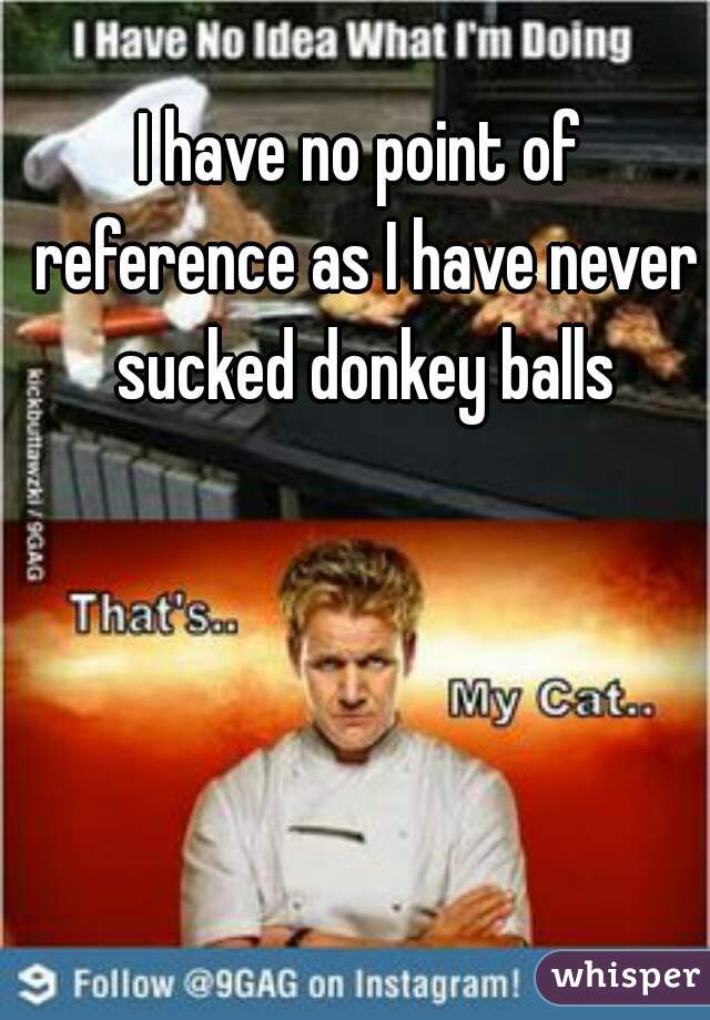 I have no point of reference as I have never sucked donkey balls