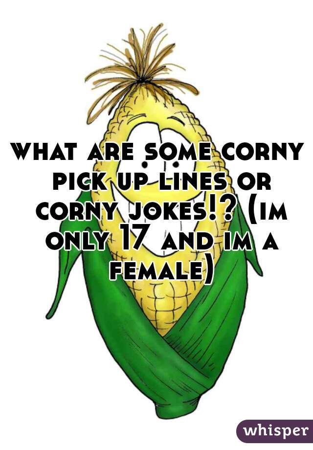 what are some corny pick up lines or corny jokes!? (im only 17 and im a female)