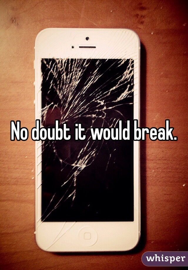 No doubt it would break. 