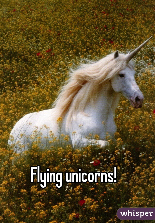 Flying unicorns!
