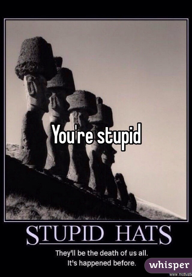 You're stupid