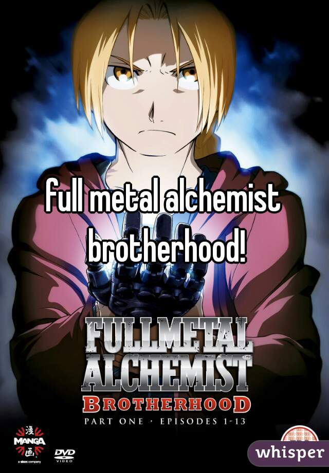 full metal alchemist brotherhood!