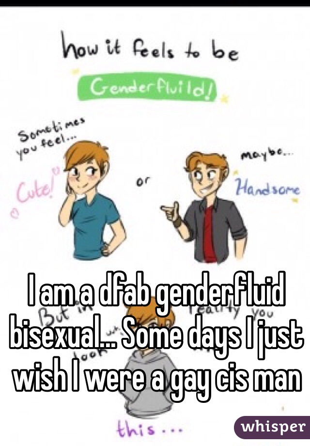 I am a dfab genderfluid bisexual... Some days I just wish I were a gay cis man 