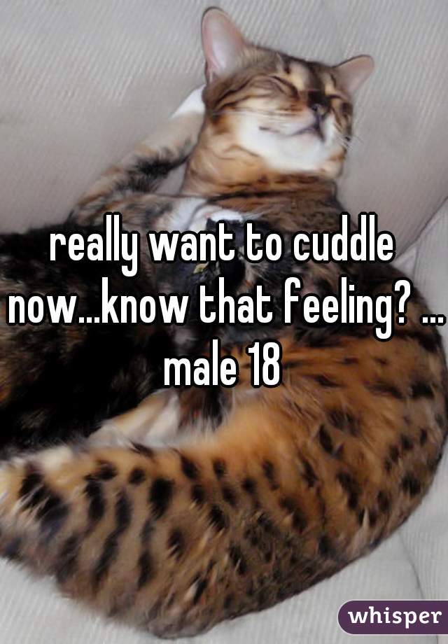 really want to cuddle now...know that feeling? ...
male 18