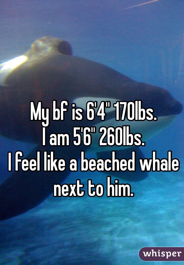 My bf is 6'4" 170lbs.
I am 5'6" 260lbs. 
I feel like a beached whale next to him. 