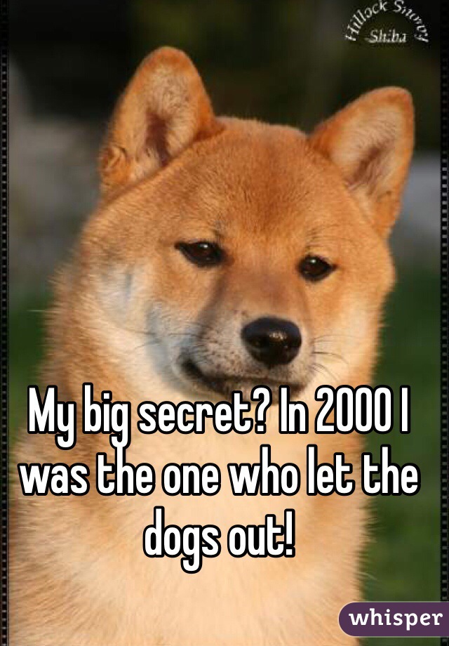 My big secret? In 2000 I was the one who let the dogs out!