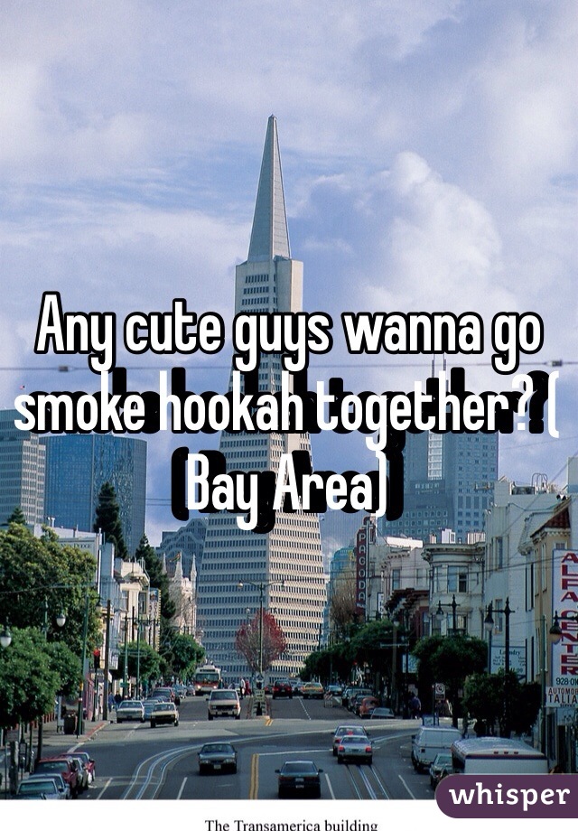 Any cute guys wanna go smoke hookah together? ( Bay Area)